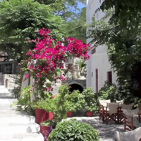 Zeus House Semesterbostad Naxos City